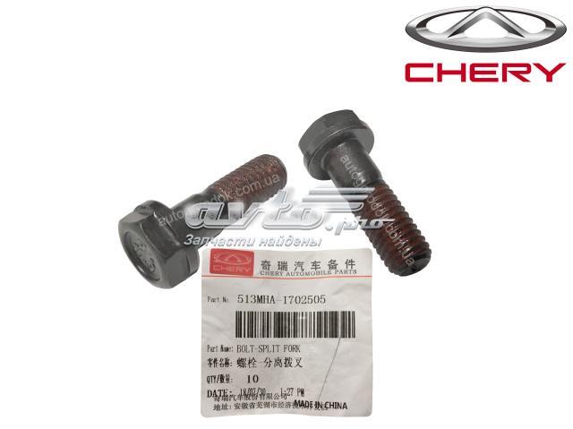  513MHA1702505 Chery