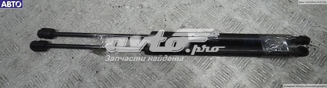 амортизатор кришки багажника/ двері 3/5-ї задньої ZSA09187 Амортизатор багажника лівий ASHIKA ZSA09187