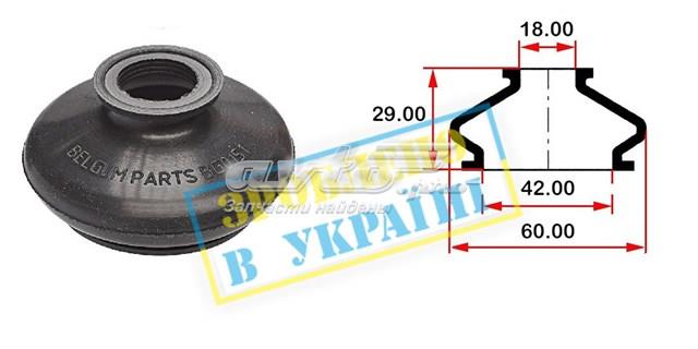 BG0151 Belgum 