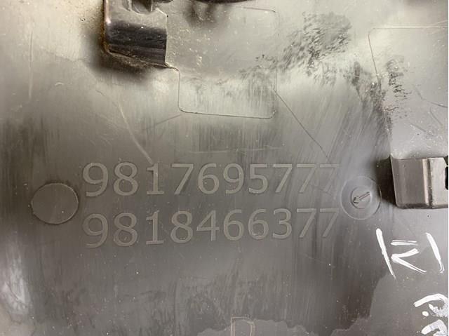 9817695777 Peugeot/Citroen 