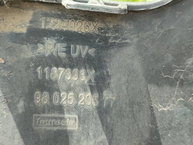 9802520577 Peugeot/Citroen 