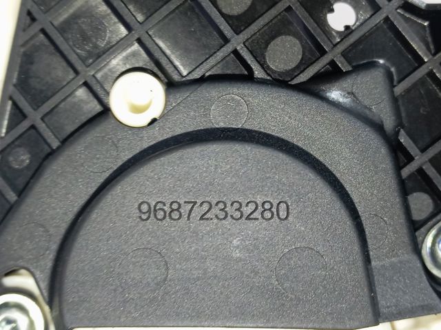 8731X3 Peugeot/Citroen 
