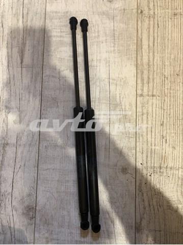Амортизатор двері задньої VAG 3T582755201S ціна, від 8.87 USD