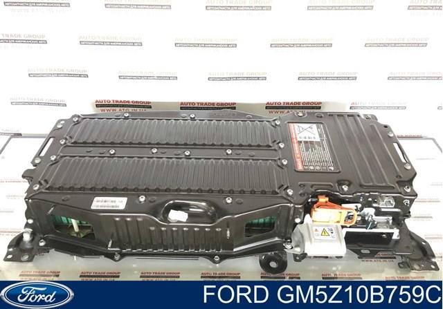 GM5Z10B759C Ford 