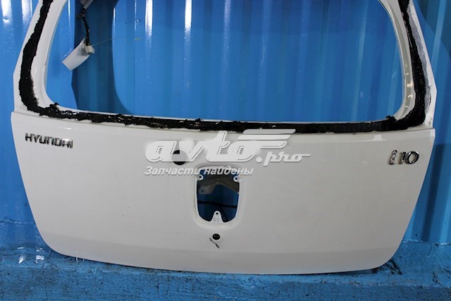 Двері багажника Hyundai/Kia 737000X040