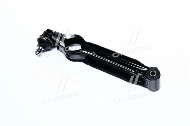 RDS112909010 Rider Стійки і важелі підвіски