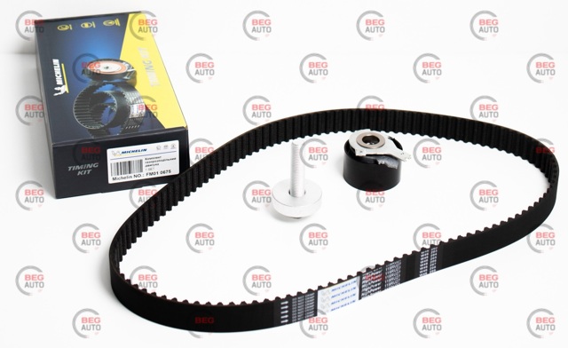  FM010675 Michelin