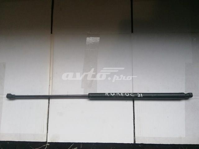 Купити 904505599R Renault (RVI) Амортизатор двері багажника