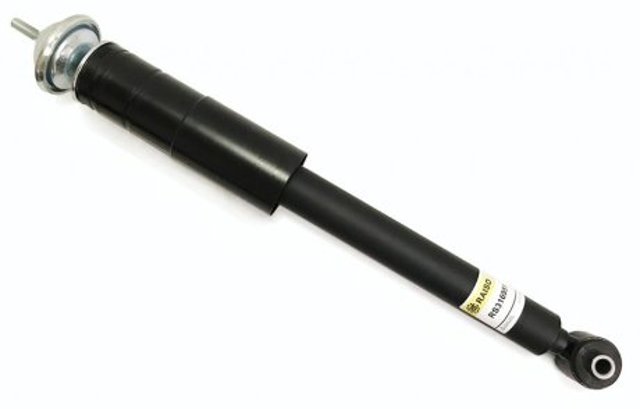 Купити RS316951 Raiso Стійка амортизатора задня