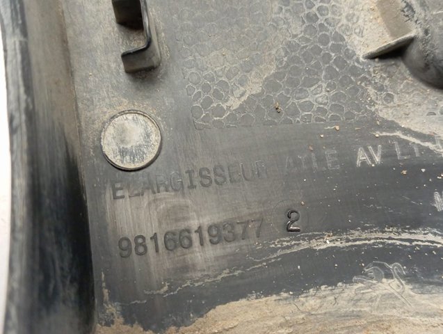 9816619377 Peugeot/Citroen 
