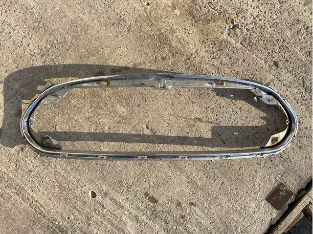 Купити 101741400D Tesla Рамка решітки переднього бампера