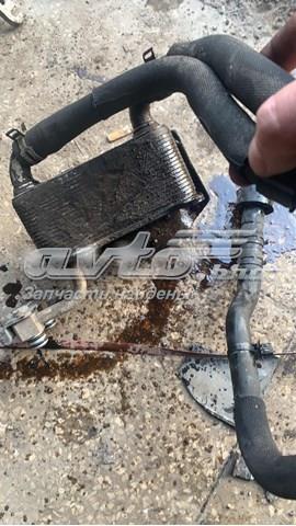 2255577 Ford 