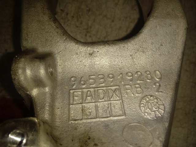 9653919280 Peugeot/Citroen 