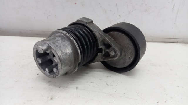 Натягувач приводного ременя 117506193R Renault (RVI)