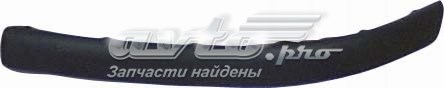 Молдинг переднього бампера, правий FPS FP9539922