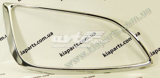 865812S300 Hyundai/Kia Ободок фари протитуманной