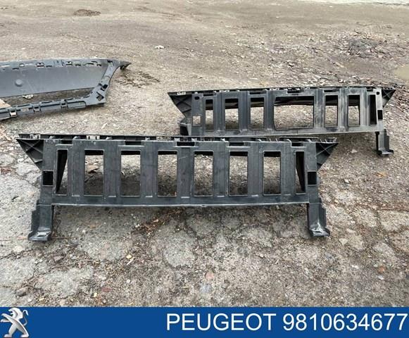 9810634677 Peugeot/Citroen 