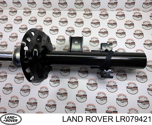 Амортизатор задній, правий Land Rover LR079421 ціна, від 216.18 USD