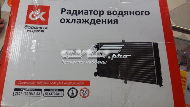 Радіатор охолодження DK 2301130101203