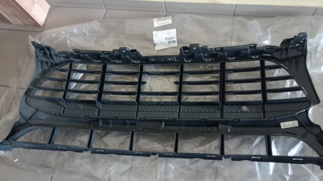 Решітка переднього бампера, центральна Porsche 95B807683J1E0 ціна, від 216.58 USD