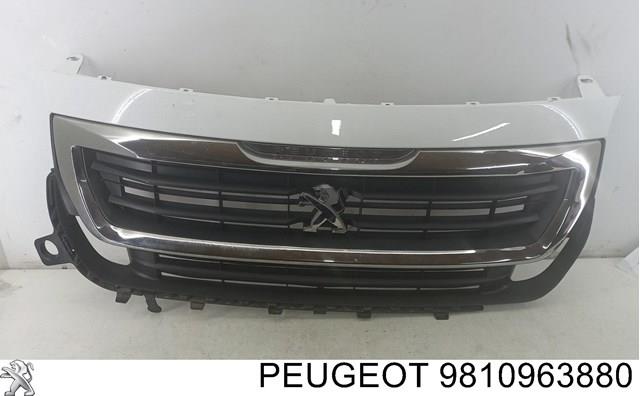 Купити 9810963880 Peugeot/Citroen 