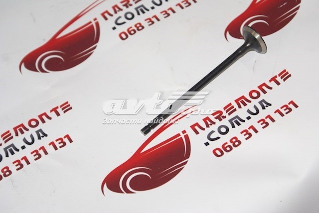 17013000F3005 BYD Випускний клапан двигуна