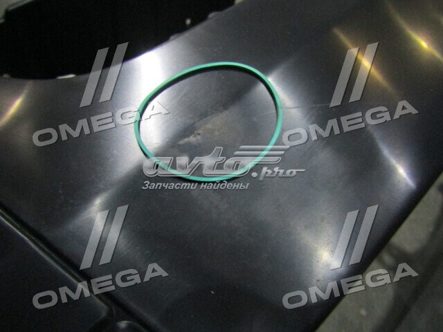  0480539900 Tempest