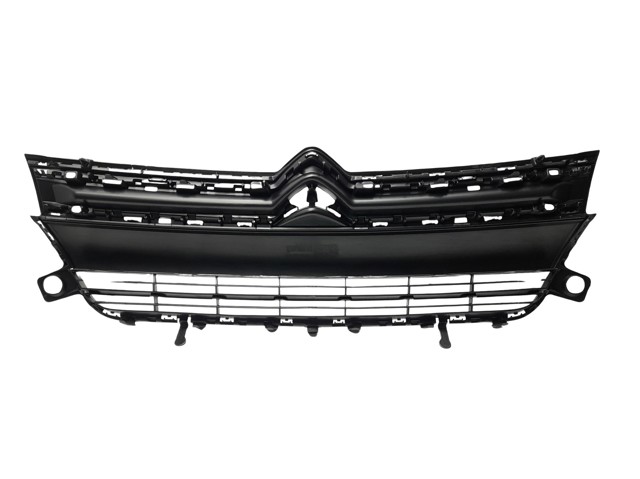 Купити 9810963780 Peugeot/Citroen Захисна решітка радіатора