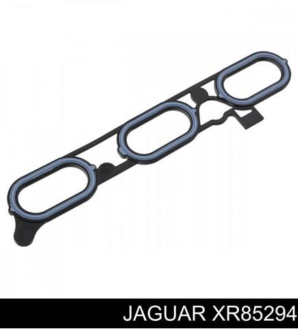XR85294 Jaguar Прокладка впускного колектора, верхня