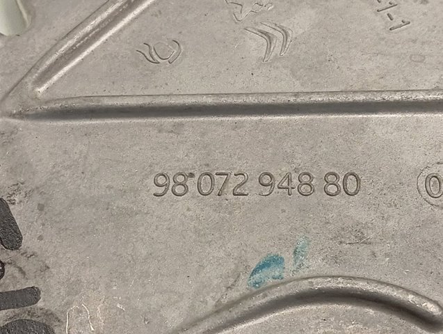 9807294880 Peugeot/Citroen 