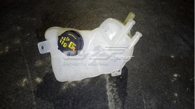 HG938A080BA Ford Розширювальний бачок охолодження