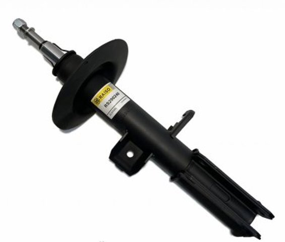 RS290240 Raiso Ліва передня стійка