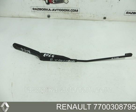  7700308795 Renault (RVI)