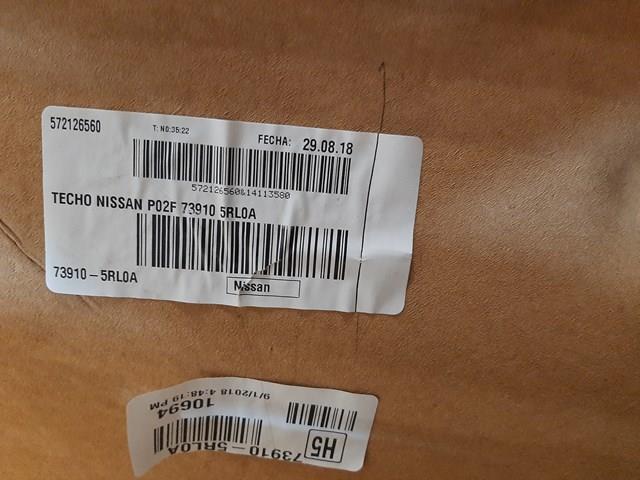 Облицювання стелі Nissan/Infiniti 739105RL0A ціна, від 63.35 USD