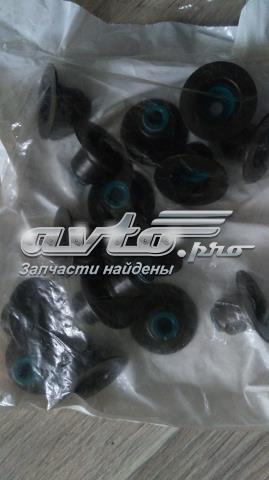  Fel-pro SS71041