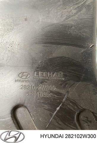Купити 282102W300 Hyundai/Kia Повітрозабірник повітряного фільтра