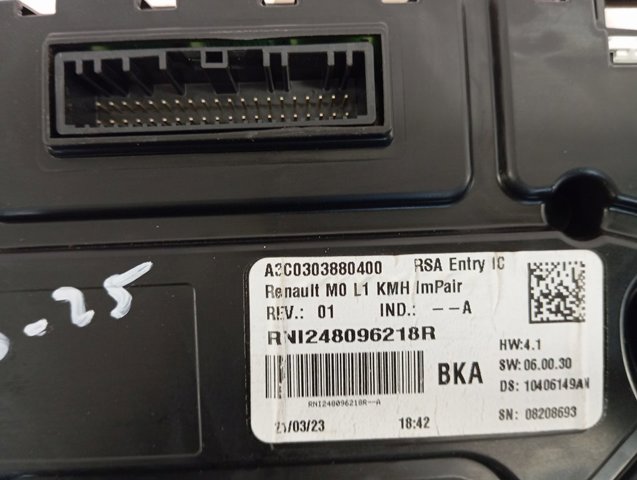  248096218R Renault (RVI)