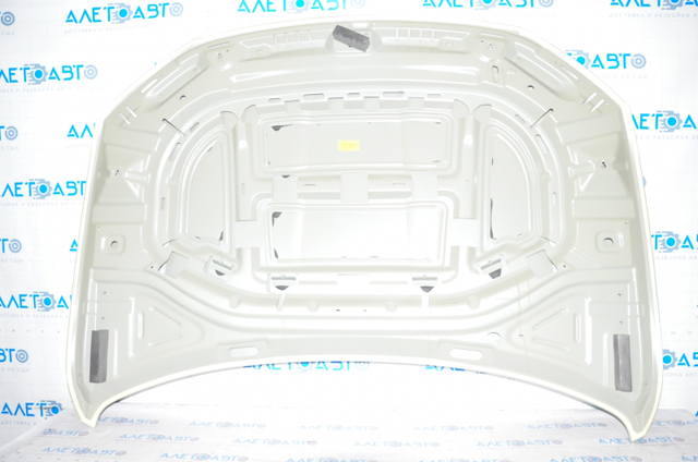Капот FPS FP7447280