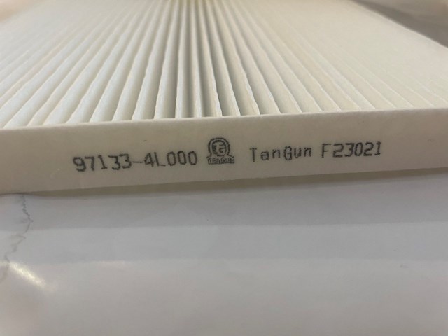 F23021 Tangun Внутрішньосалонний фільтр