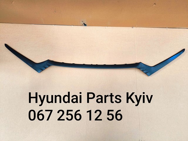 Купити 86585G2000 Hyundai/Kia 