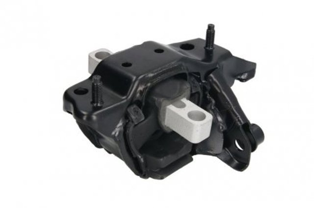 RH110073 Reinhoch 