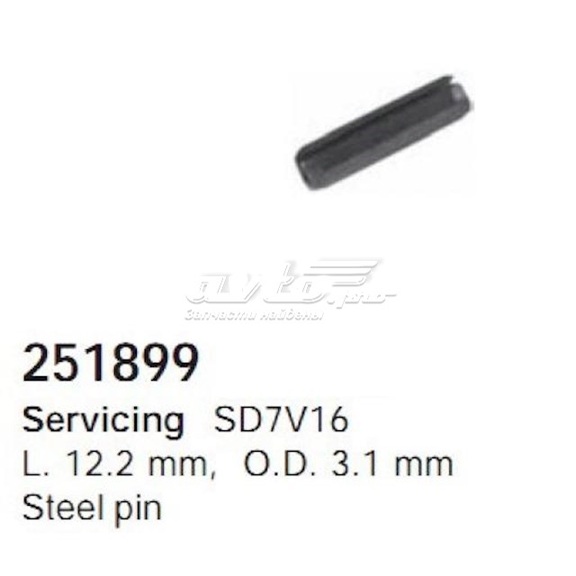 251899 Cargo 