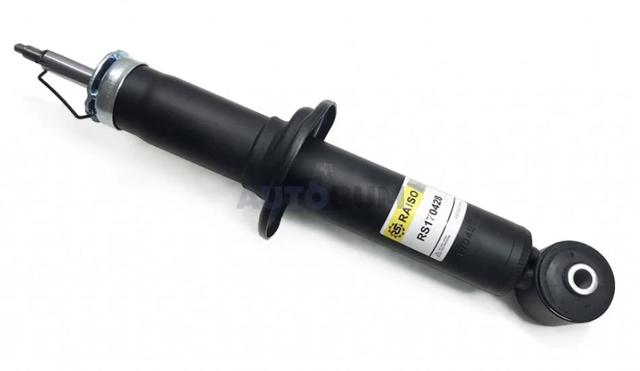 Амортизатор задній Raiso RS170428 ціна, від 26.93 USD