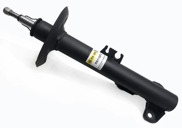 Амортизатор передній, правий Raiso RS115373 ціна, від 42.31 USD