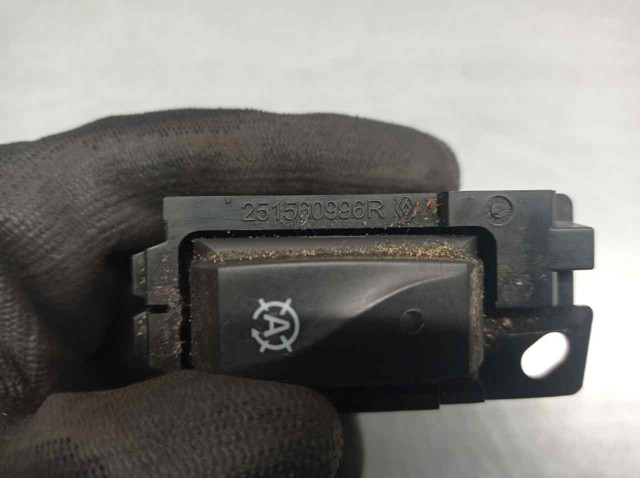 251560996R Renault (RVI) 