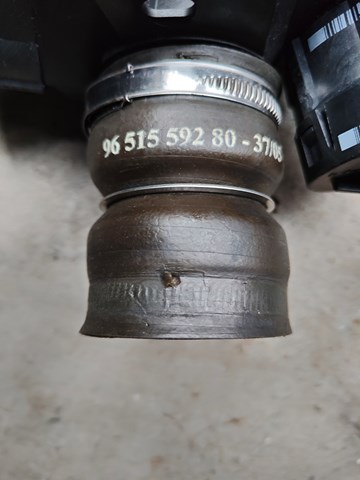  9651559280 Peugeot/Citroen