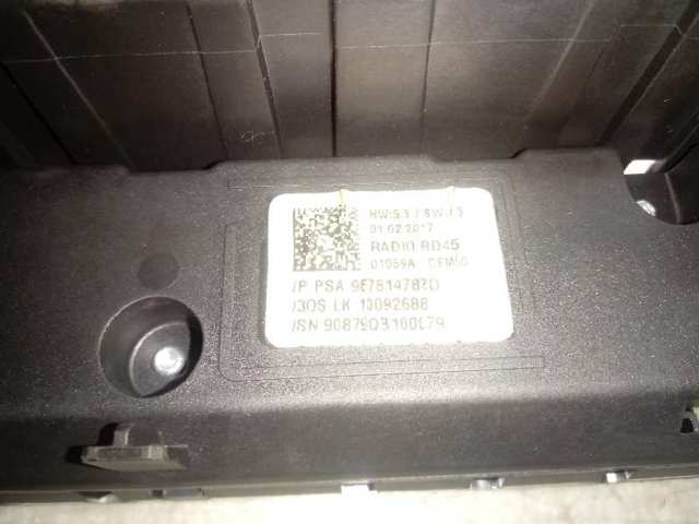  9813759880 Peugeot/Citroen