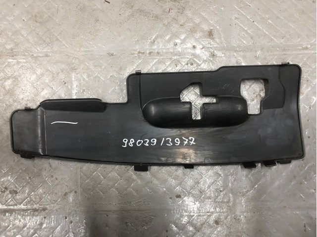 9803913977 Peugeot/Citroen 