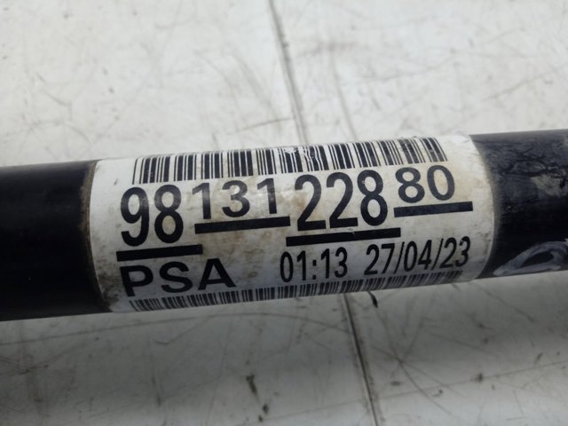 Купити 9813122880 Peugeot/Citroen 