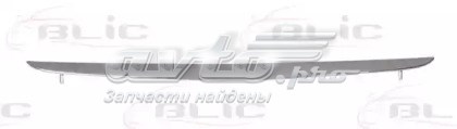 5703123505994P 4max Решітка радіатора